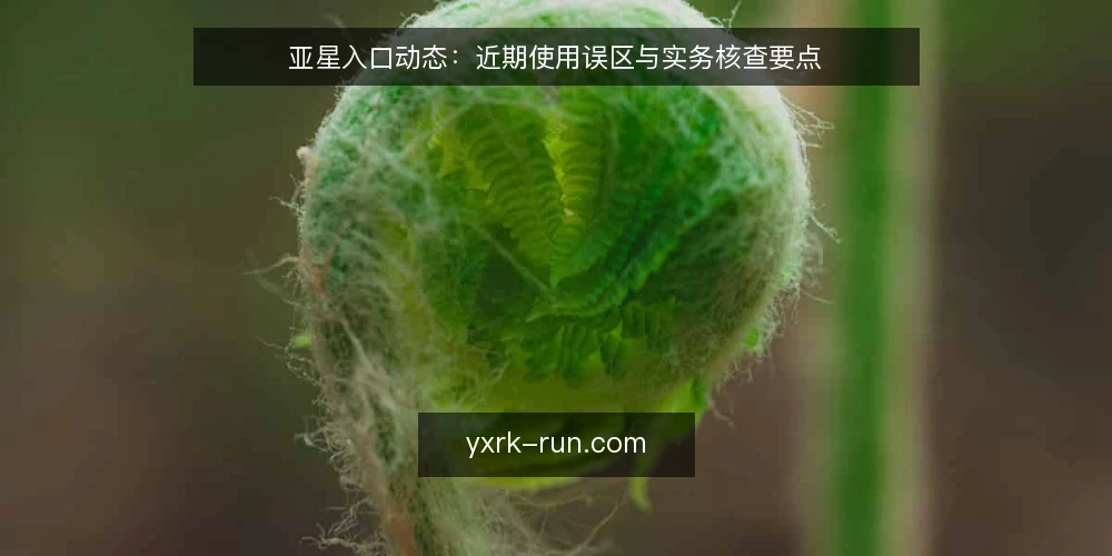 亚星入口动态:近期使用误区与实务核查要点 — 近期亚星入口使用观察 配图